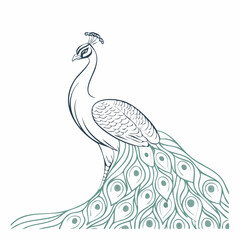 Fototapeta premium Elegant Peacock Illustration with Graceful Tail Feathers, a Majestic Design for Nature-Inspired Themes