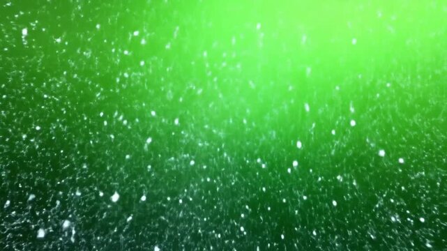 the flying snowflakes are very beautiful and pleasing to the eye