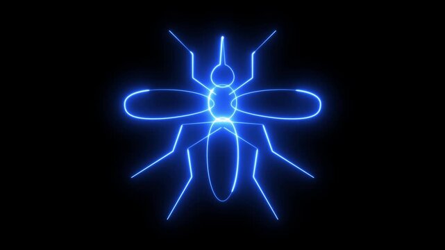 Neon Mosquito Line Icon Animated on Black Background with Alpha Channel 4K Green Screen Chroma Key Loop
