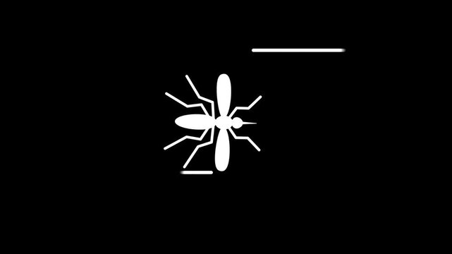 mosquito icon fly animated mosquito icon green screen 4k croma