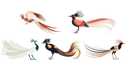 Fototapeta premium Elegant papiya bird with long tail feathers spread, graceful tropical avian perched in natural setting with detailed plumage, exotic wildlife illustration symbolizing beauty and freedom in serene land