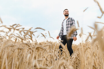 Farmer walking through golden wheat field on sunny day