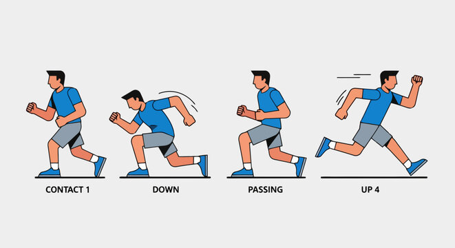 Running Form and Gait Cycle Phases Illustration: Breakdown of a runner's stride showing contact, down, passing, and up stages for athletic training and exercise science.