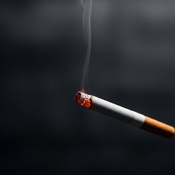 Close-up of burning cigarette smoke.