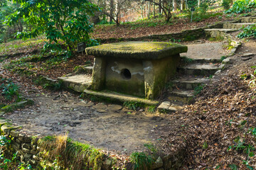 Fototapeta premium ancient megalith, dolmen in the park