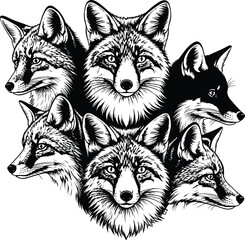 Five wolves heads in a group illustration
