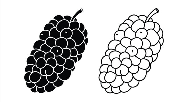 Two mulberry fruits one dark and one light in silhouette