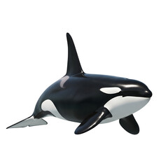 Obraz premium Black and white orca floating in ocean, perfect for marine wildlife, conservation, and design projects, isolated on white or transparent background. PNG format.