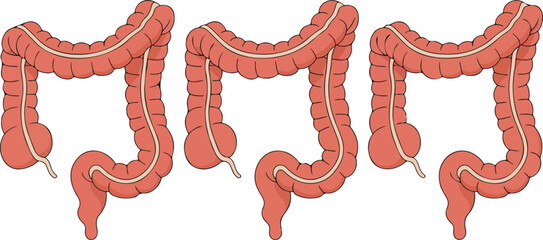 Abstract red and white background with waves and water drops featuring a dragon and seahorse illustration design © MST