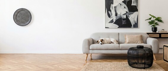 Relaxing dog on modern couch in minimalist living room stylish home decor indoor environment serene viewpoint cozy concept