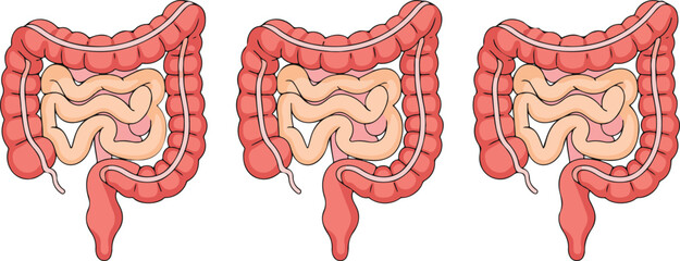 Abstract red and white background with waves and water drops featuring a dragon and seahorse illustration design © MST