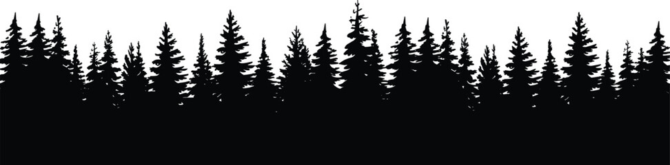 Silhouette of a dense forest of pine trees against a white background evergreen nature © MstGolenur