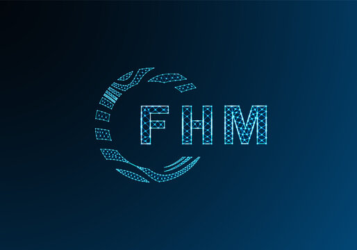 FHM low poly letter logo vector design. FHM lower poly logo design. FHM unique low poly logo design.