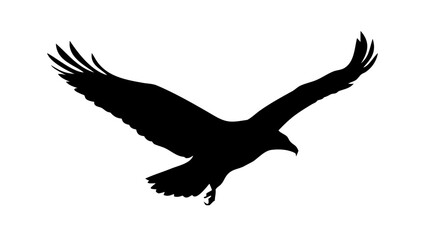 Obraz premium Bald Eagle Soaring Silhouette Vector - Majestic Flying Bird of Prey National Symbol Graphic