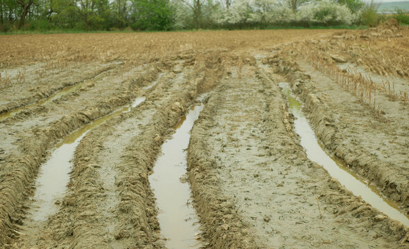 Damage field soil erosion agriculture subsoil result of deep wheel track likely tractor or heavy machinery vehicle hard heavy equipment during spring inappropriate management of earth land landscape