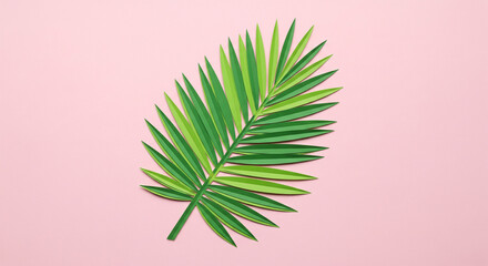 green palm leaf