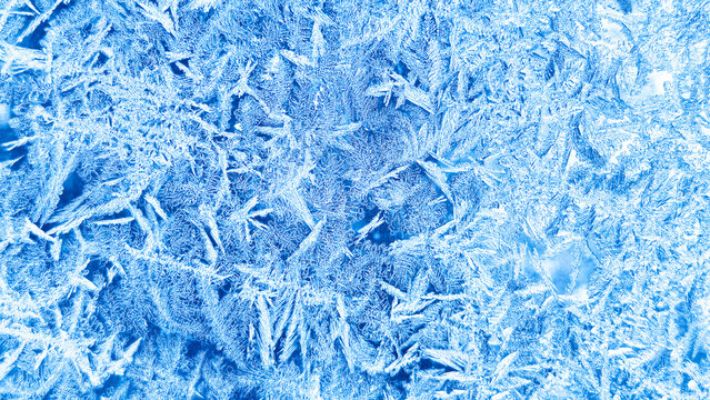 Close-up abstract background of intricate ice crystals. Hoarfrost creates a natural pattern in cool blue and white tones. A cold, wintery texture perfect for seasonal design and wallpaper.