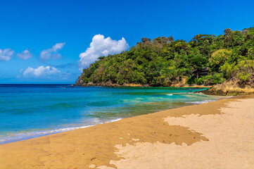 Fototapeta premium A view towards a headland in Englishmans Bay in Tobago on a bright day in January