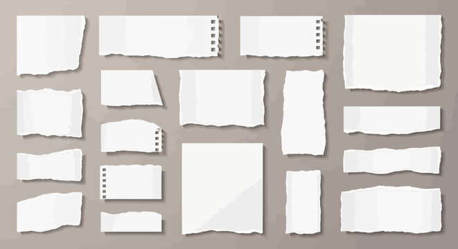A collection of torn white paper scraps of various sizes and shapes, scattered on a neutral background.