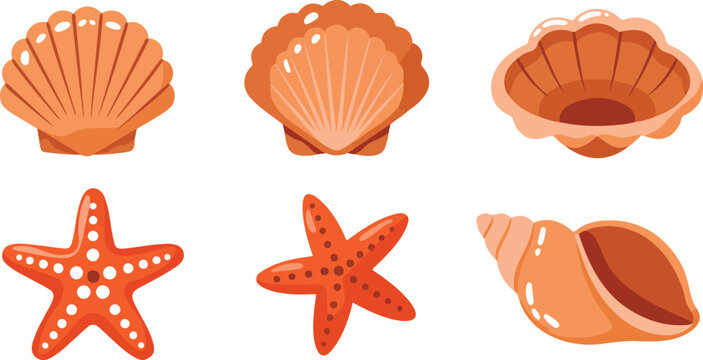 Seashell and starfish collection vector illustration featuring scallop conch and marine ocean elements isolated decorative set