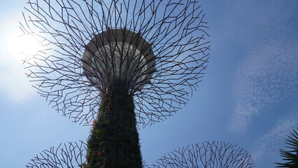 Gardens by the Bay in Singapore Supertrees View