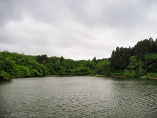曇り空の広い池、風景