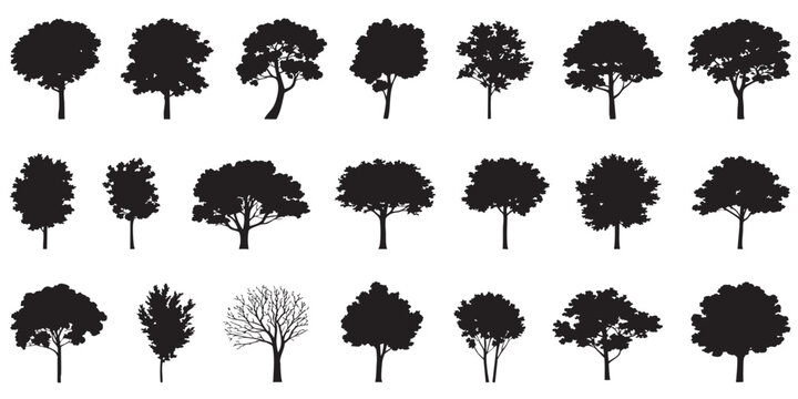 Tree silhouette icon collection set of graphics trees elements outline symbol for architecture of silhouettes of trees .landscape, and urban design projects, in vector design 