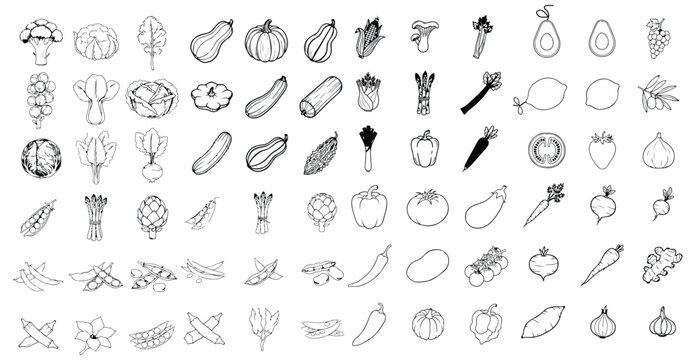 Fresh vegetable icons set, hand drawn style black and white doodles