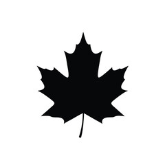 Fototapeta premium Black maple leaf silhouette on white background
