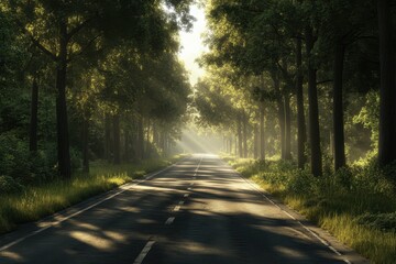 Obraz premium Sunlight filters through trees along a serene road in a lush forest setting