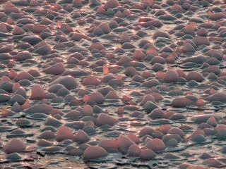 Obraz premium Various ice forms, like ice cracks, slush balls, pancake ice sheets formed at lake Balaton during the freezing cold January of 2026.