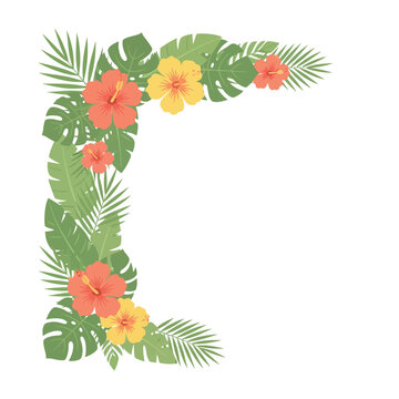 Tropical corner border with hibiscus flowers and monstera leaves