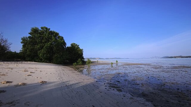 Tropical intertidal shoreline with young mangroves and distant islands Thailand

