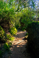 Fototapeta premium Kurşunlu Waterfall Nature Park (Turkish: Kurşunlu Şelalesi) is located 19 km from Antalya, Turkey at the end of a 7 km road branching off to the north of the Antalya-Serik-Alanya highway
