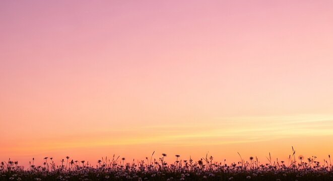 Soft pink sunset over field of flowers mothers day background download 2026 2027 orange yellow purple
