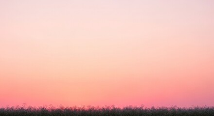 Fototapeta premium Soft pink sunset over grassy field mothers day background download 2026 2027
