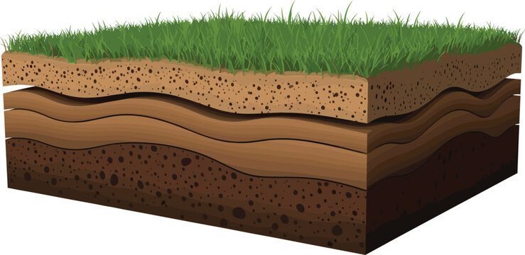 Soil layers cross section with grass surface geology ground structure vector illustration