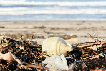 Plastic and wood waste after a storm polluting the beach