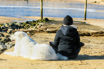 Young woman doing yoga on the beach with her Pyrenean Mountain Dog in close up