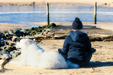 Young woman doing yoga on the beach with her Pyrenean Mountain Dog in close up