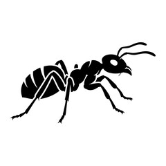 A black and white image of an ant