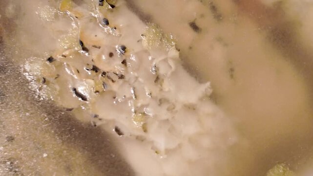 Polish Carp in Jelly ('Karp w Galarecie')Recipe: Authentic Christmas Eve