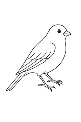 Fototapeta premium Vector illustration of a small bird sitting on a tree branch isolated on white background