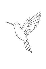 Obraz premium Vector illustration of a hummingbird and white dove flying gracefully in the sky