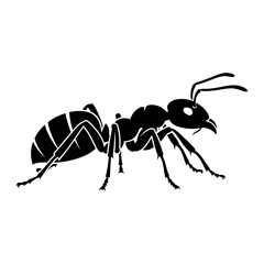 A black and white drawing of an ant
