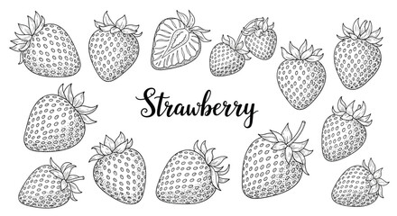 Comprehensive set of hand-drawn strawberry illustrations in various angles with elegant calligraphy for label design.