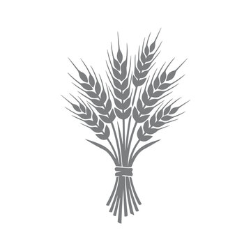 Monochromatic Bundle of Wheat Sheaves
