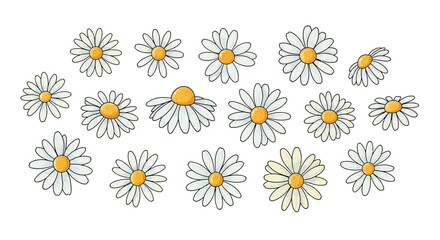 Collection of Simple White Flowers in Various Sizes and Angles on a Plain Background from a Direct Viewpoint