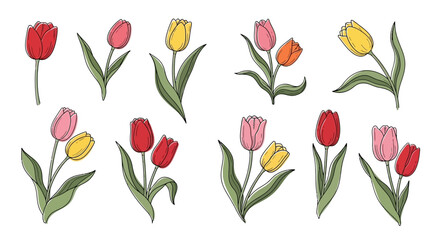 Obraz premium Collection of colorful tulip illustrations in various stages of bloom