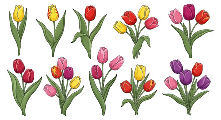 Obraz premium Vibrant tulips arranged in a grid pattern, showcasing various colors and illustrations.